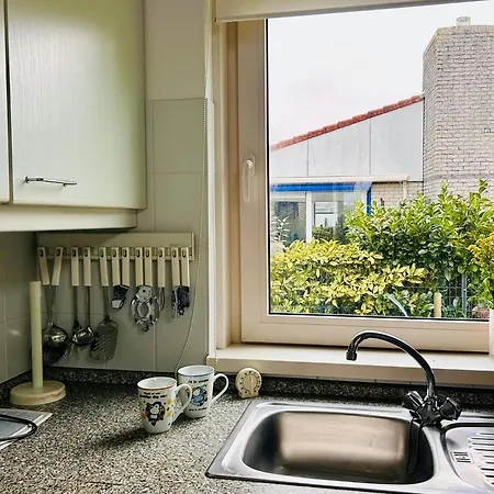 ,t Zeepaardje יוליאנאדורפ