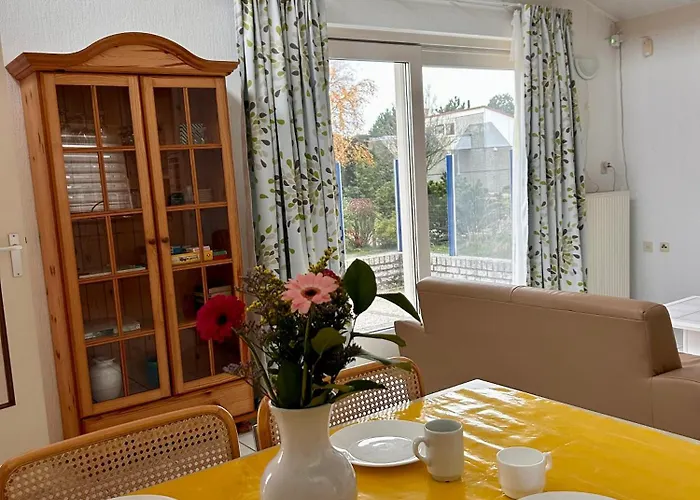 ,t Zeepaardje * 朱丽安娜多普