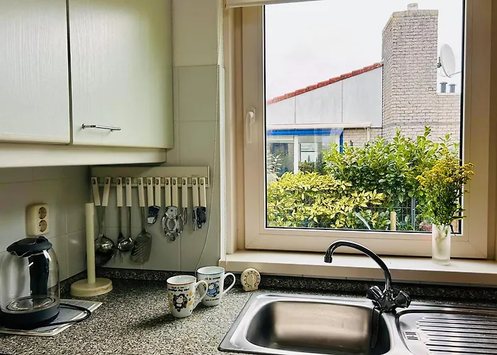 ,t Zeepaardje 朱丽安娜多普