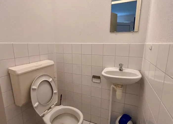 ,t Zeepaardje * 朱丽安娜多普